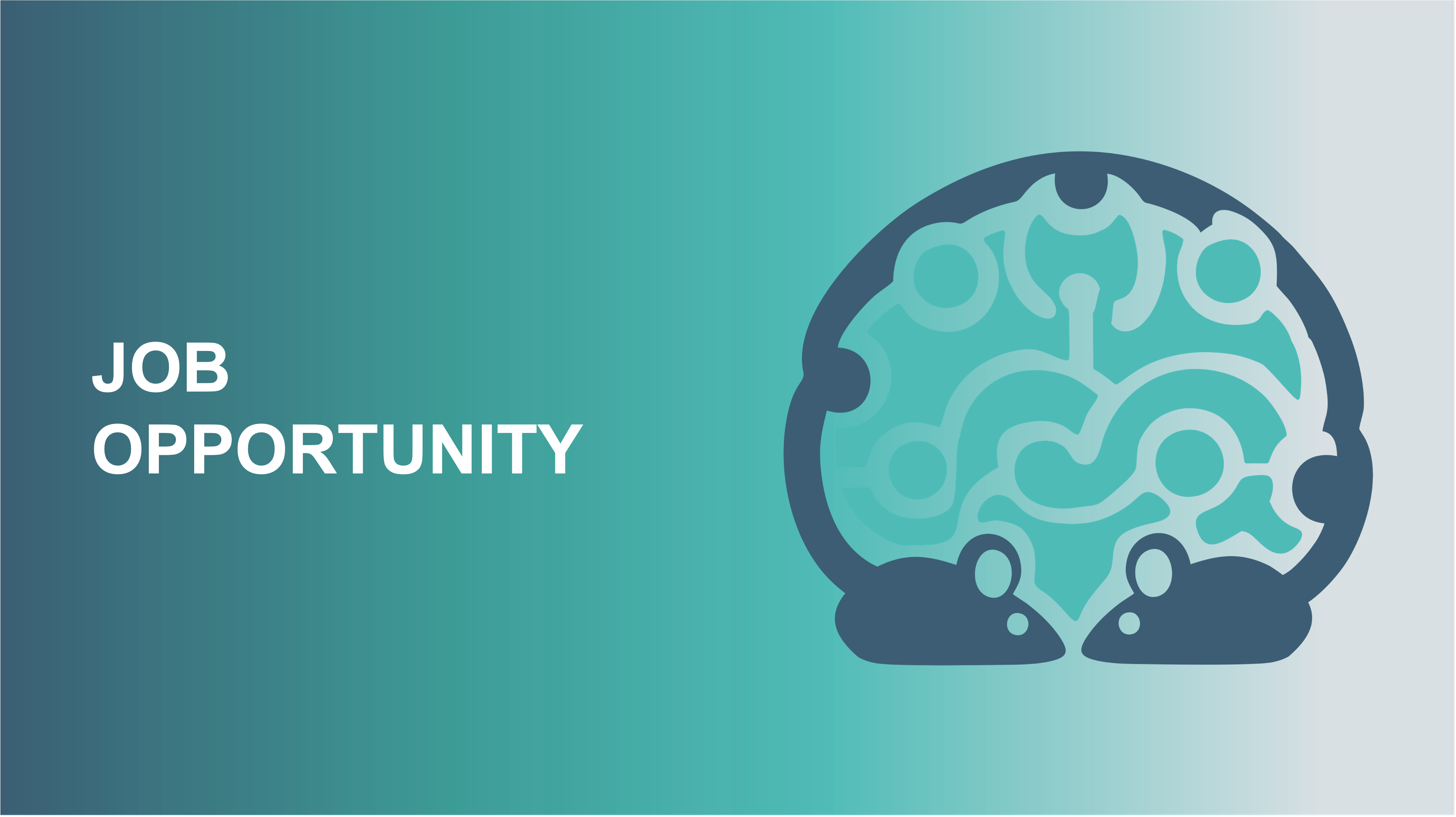 PhD in Theoretical and Applied Neuroscience (Cycle XLI)